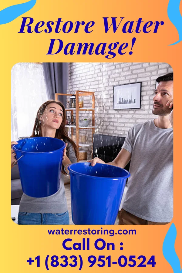 water restoration Silver Damage Recovery & Associates Melia
