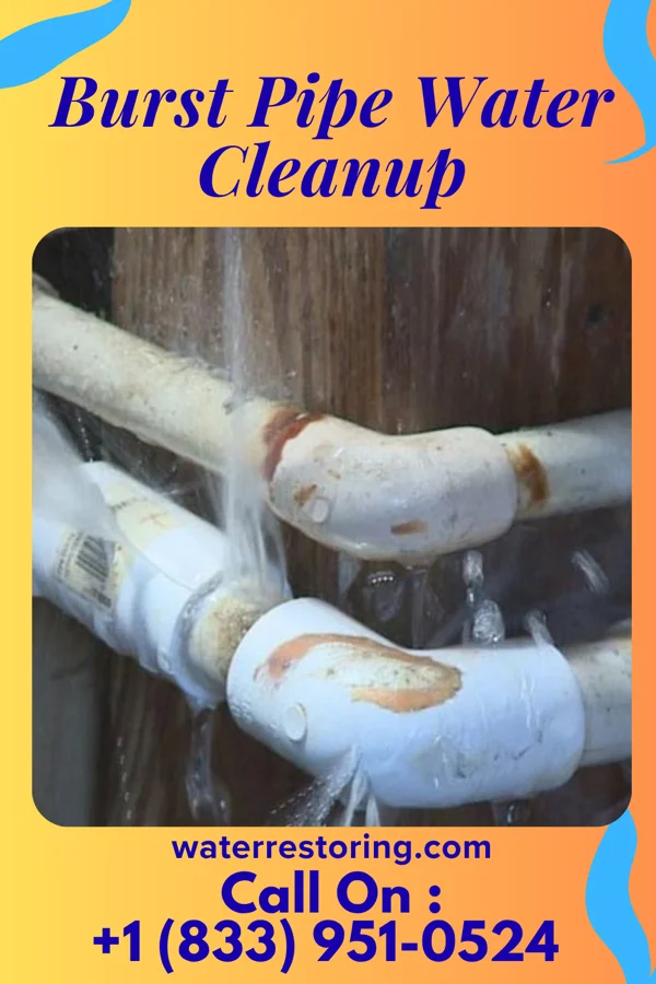 Burst Pipe Water Cleanup in Melia, NE