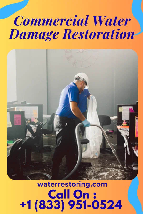 Commercial Water Damage Restoration in Melia, NE