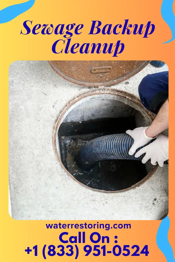 Sewage Backup Cleanup in Melia, NE